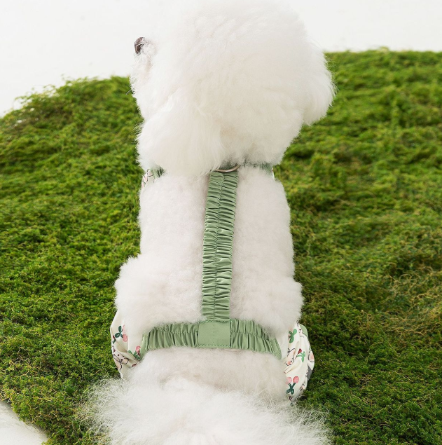 Detachable dust-proof pants with waterproof feet for dog pets💕